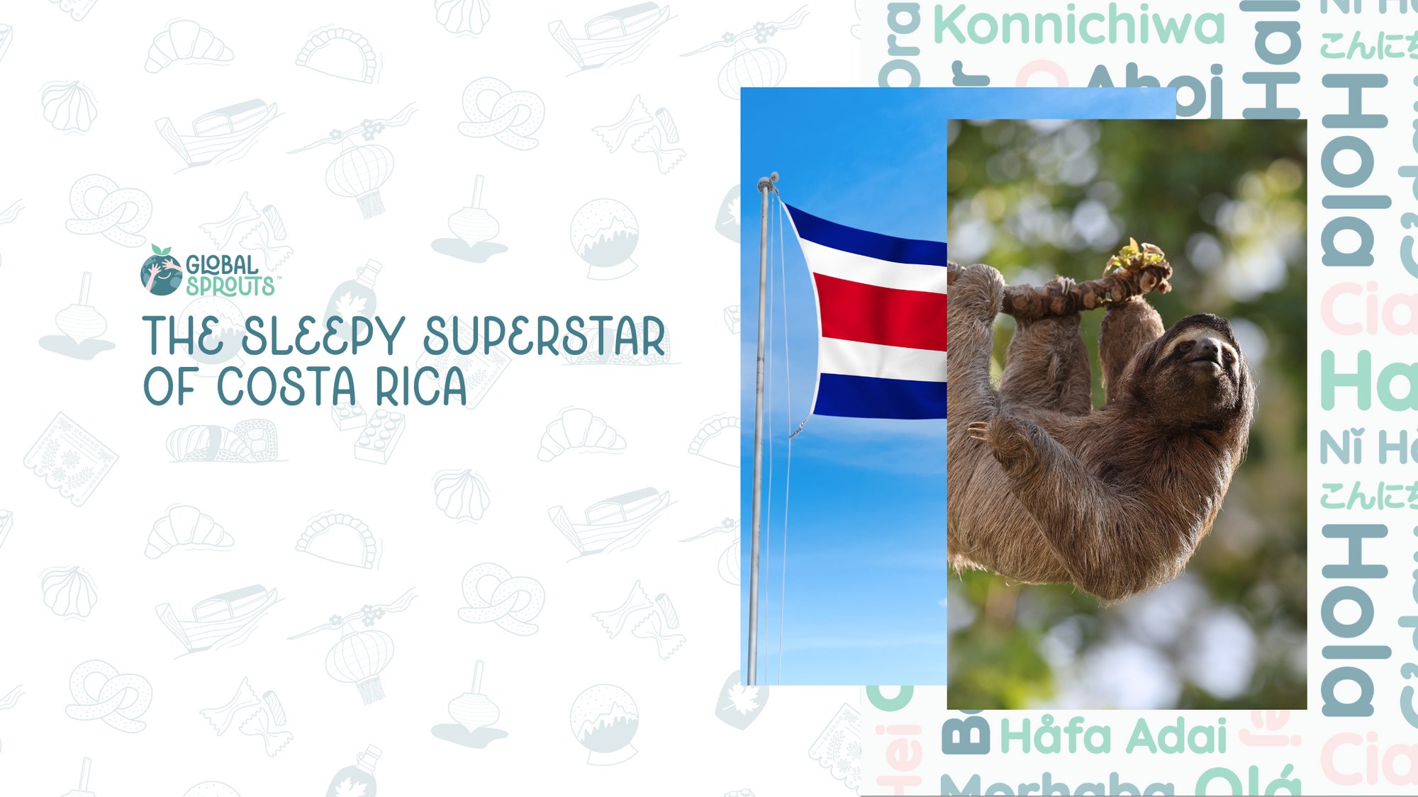Meet the Sleepy Superstar of Costa Rica!